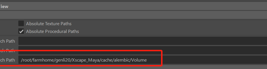 Arnold Volume searching path