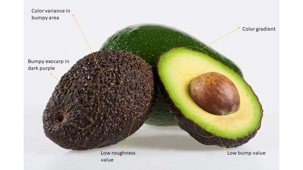 Avocado